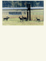 Radford image 2